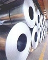 Titanium Grade-1 Sheets Titanium Grade 1 Strips